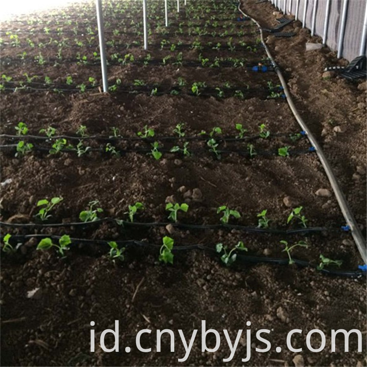 Drip Irrigation 97